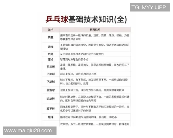英超乒乓球新手必看入门指南助你快速提升技巧与状态