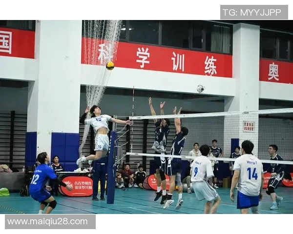 实时新闻南京排球队的速度之美探秘排球运动的魅力与激情