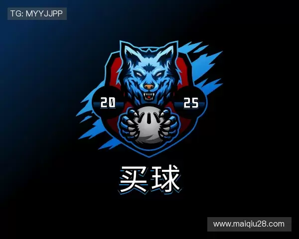 了解中超买球